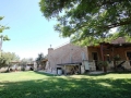luxury homes for sale in northern Israel.